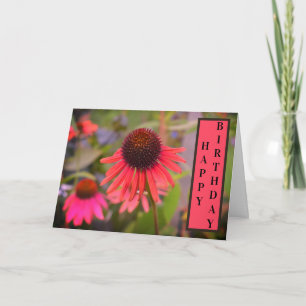 Red Flowers at RHS Wisley Card