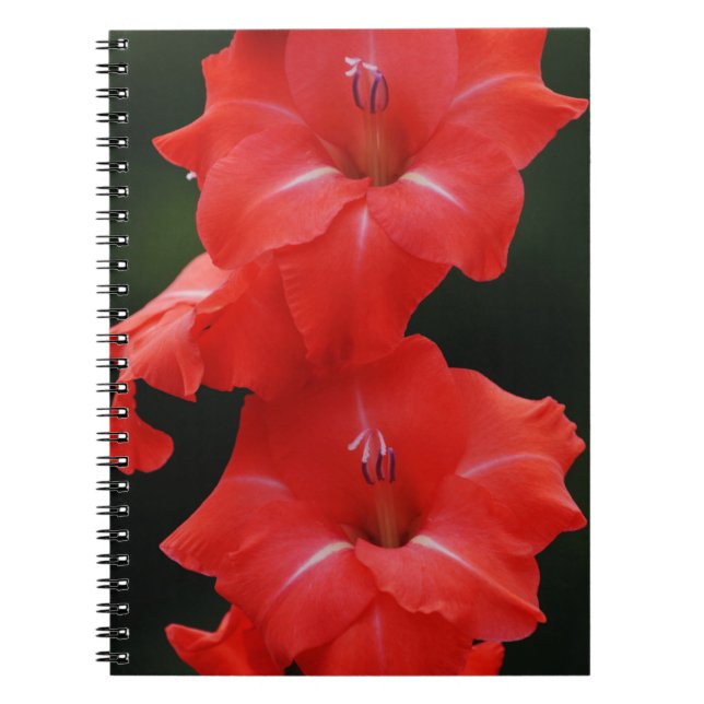 Red Flowers Journal Notebook (Front)