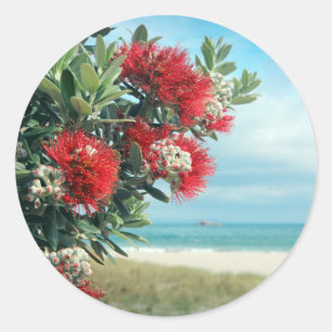 Red flowers paradise beach New Zealand summer Classic Round Sticker