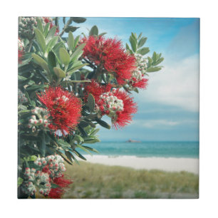Red flowers paradise beach New Zealand summer Tile