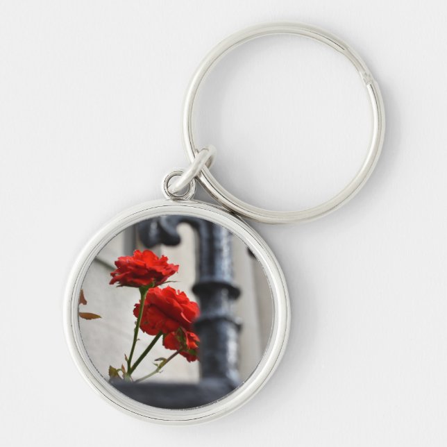 Red Flowers Wrought Iron New York City Photography Key Ring (Front)
