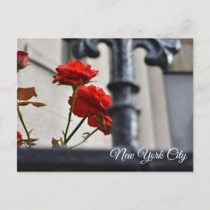 Red Flowers Wrought Iron New York City Photography Postcard