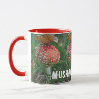 Red fly agaric mushroom