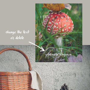 Red fly agaric mushroom poster