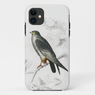 Red-footed Falcon Illustration Vintage Art Print iPhone 11 Case