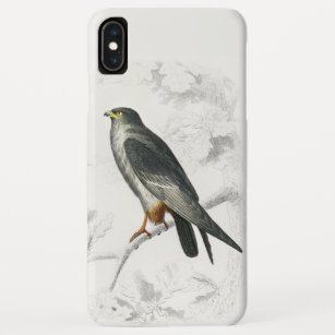 Red-footed Falcon Illustration Vintage Art Print Case-Mate iPhone Case
