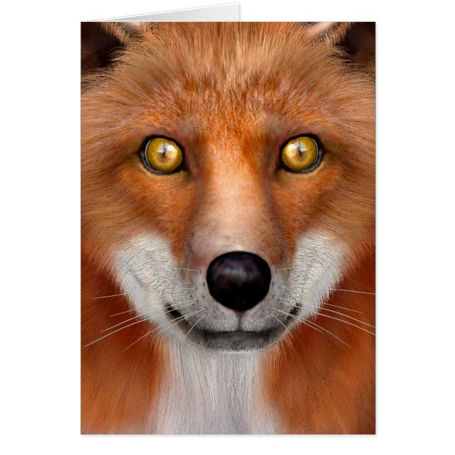 Red Fox (Front)