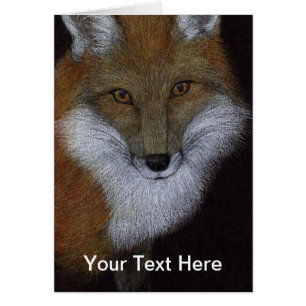 Red Fox