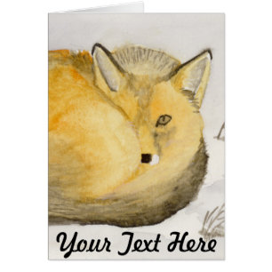 Red Fox