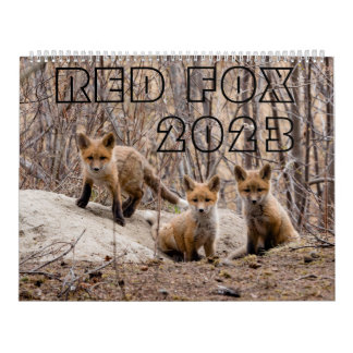 Red Fox 2023 - Calendar
