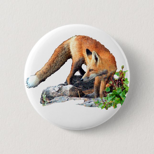 Red fox 6 cm round badge (Front)