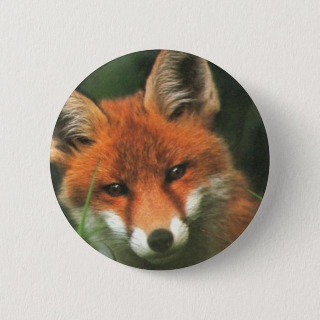 Red Fox 6 Cm Round Badge (Front)