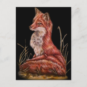Red Fox Animal Art Drawing Postcard
