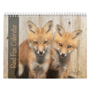 Red Fox Calendar