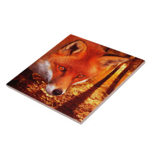 Red Fox Ceramic Tile
