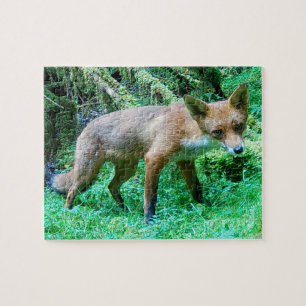 Red Fox Cub Jigsaw Puzzle