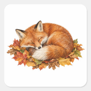 Red Fox Curled Up on Fallen Leaves Square Sticker