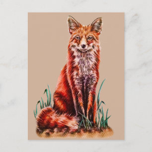 Red Fox Drawing Animal Art Pencil Sketch Foxy Postcard