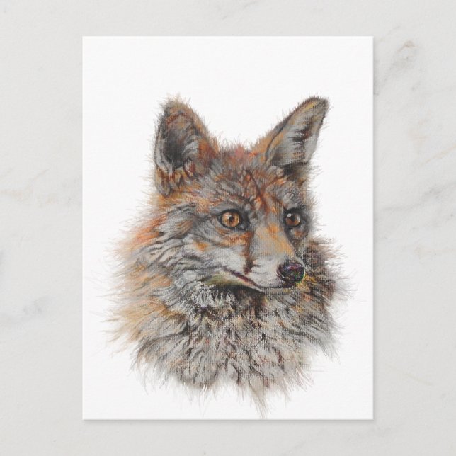 red fox face art postcard (Front)