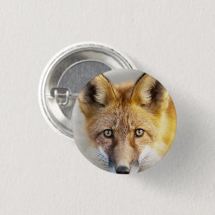 Red Fox Face, Close-up 3 Cm Round Badge