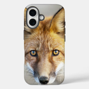Red Fox Face, Close-up iPhone 16 Case
