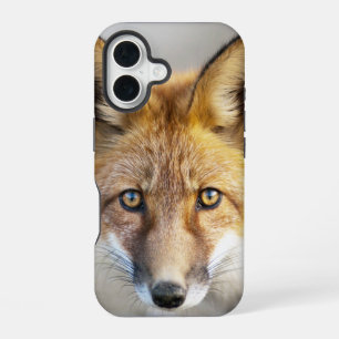 Red Fox Face, Close-up iPhone 16 Case