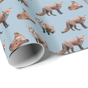 Red Fox Frenzy Wrapping Paper (Blue)