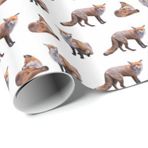 Red Fox Frenzy Wrapping Paper (Choose colour)