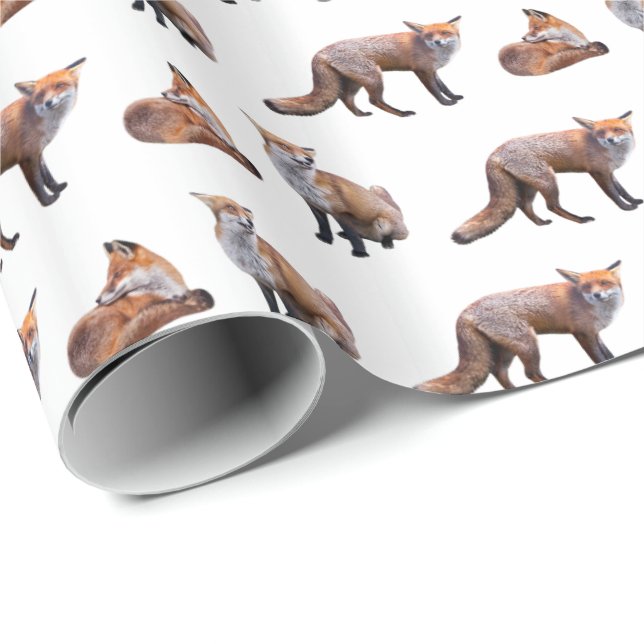 Red Fox Frenzy Wrapping Paper (Choose colour) (Roll Corner)