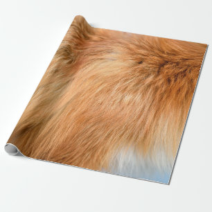 Red fox fur texture wrapping paper