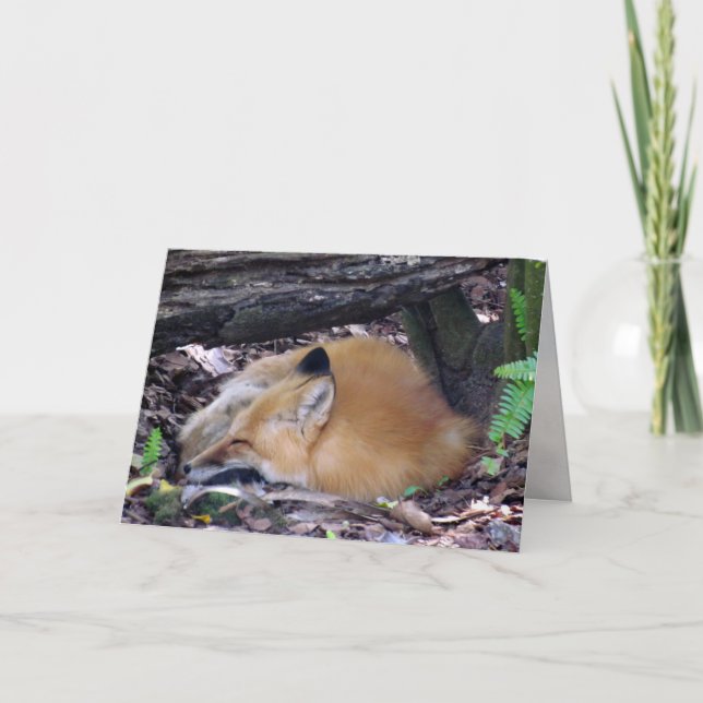 Red Fox Greeting Card (Front)