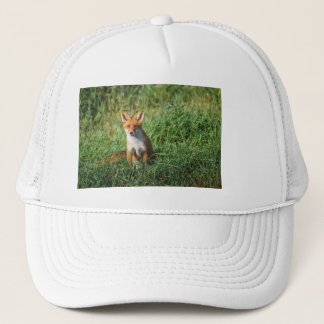 Red fox hat