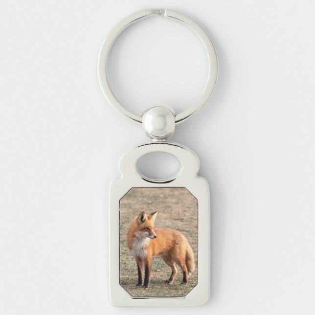 Red Fox in a field Key Ring (Front)