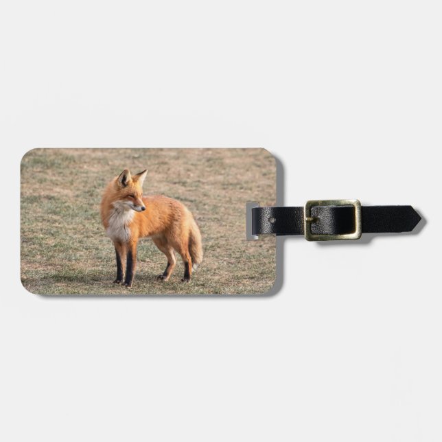 Red Fox in a field Luggage Tag (Front Horizontal)