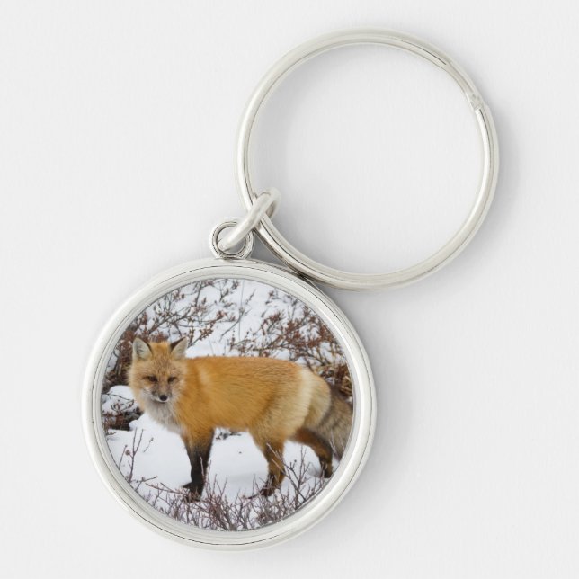 Red Fox in snow in winter Key Ring (Front)