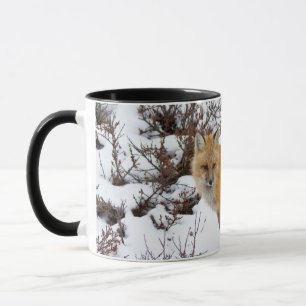 Red Fox in snow in winter Mug