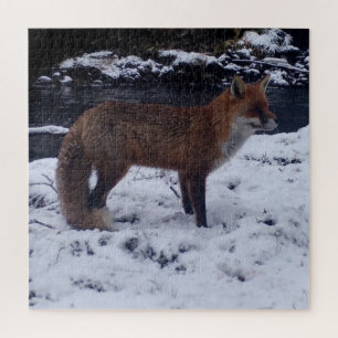 Red Fox in Snow Jigsaw Puzzle