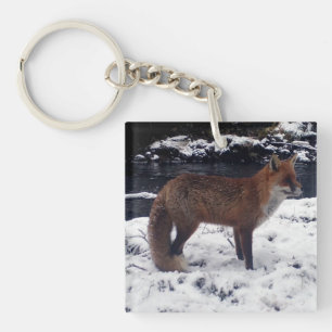 Red Fox in Snow  Key Ring