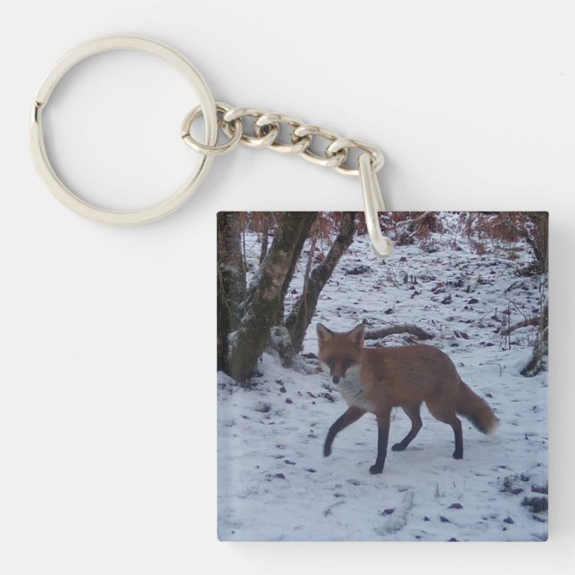 Red Fox in Snow  Key Ring (Front)