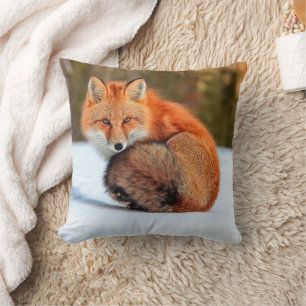Red Fox In Snow   Yukon Cushion