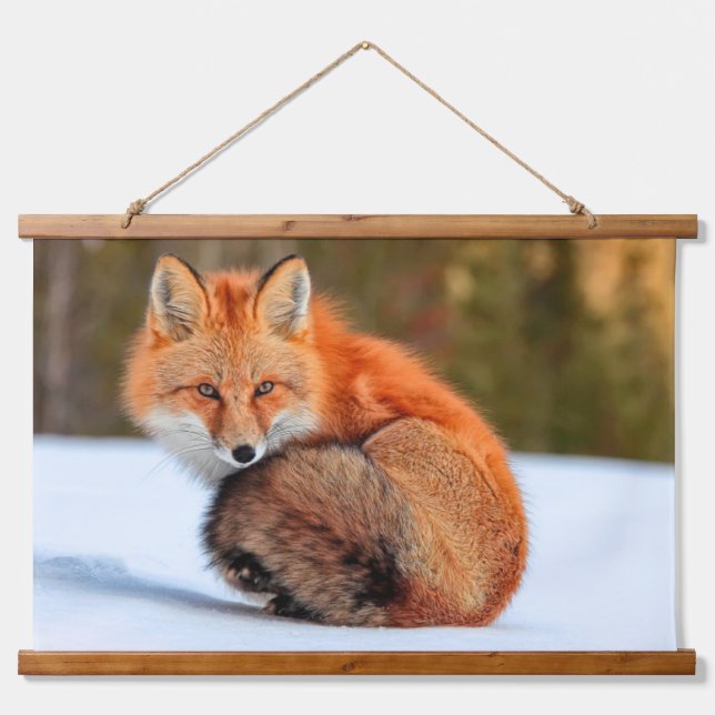 Red Fox In Snow | Yukon Hanging Tapestry (Front)