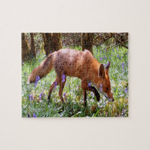 Red Fox in the Bluebells Jigsaw Puzzle
