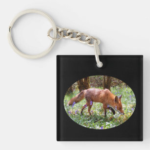 Red Fox in the Bluebells  Key Ring
