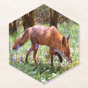 Red Fox in the Bluebells Paper Coaster