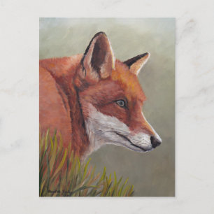 Red Fox in the Grass Animal Art Postcard