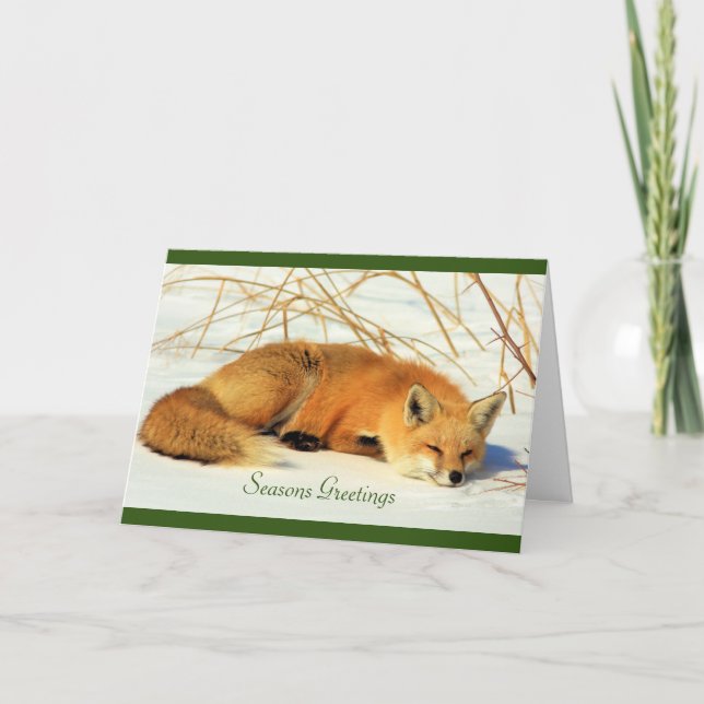 Red Fox in the Snow Folded Holiday Card (Front)