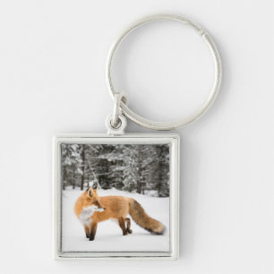 Red Fox in White Snow Key Ring