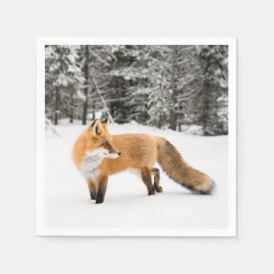 Red Fox in White Snow Napkin