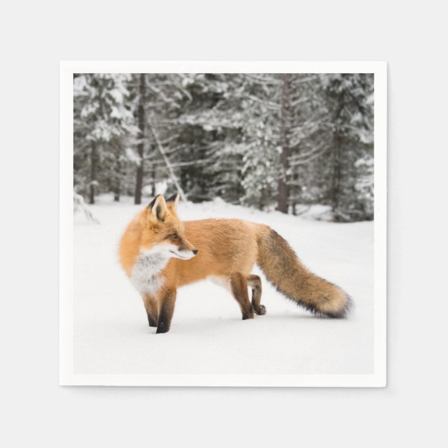 Red Fox in White Snow Napkin (Front)