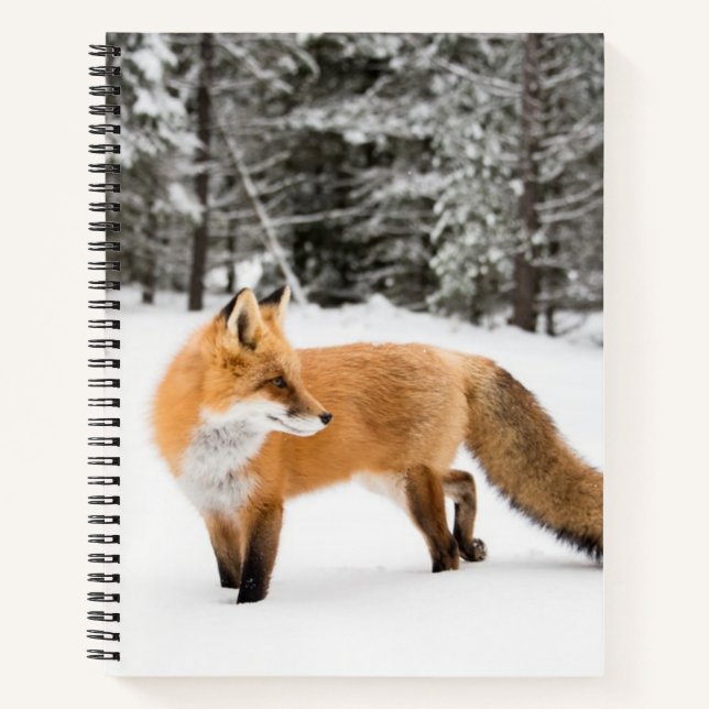 Red Fox in White Snow Notebook (Front)